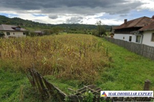 teren-intraextravilan-4550-mp-valea-popii-parc-dendrologic-mihaesti-arges-ideal-pentru-constructii-si-agricultura-1