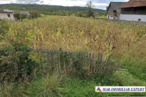 teren-intraextravilan-4550-mp-valea-popii-parc-dendrologic-mihaesti-arges-ideal-pentru-constructii-si-agricultura