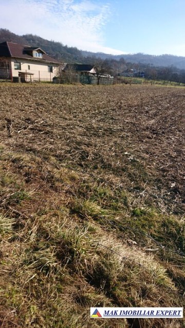 teren-intraextravilan-4550-mp-valea-popii-parc-dendrologic-mihaesti-arges-ideal-pentru-constructii-si-agricultura-2