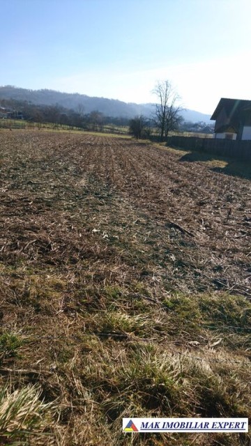 teren-intraextravilan-4550-mp-valea-popii-parc-dendrologic-mihaesti-arges-ideal-pentru-constructii-si-agricultura-3