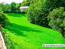 teren-intravilan-3470-mp-de-vanzare-in-dambovicioara-arges-ideal-pentru-proiecte-turistice-si-rezidentiale-1