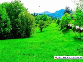 teren-intravilan-3470-mp-de-vanzare-in-dambovicioara-arges-ideal-pentru-proiecte-turistice-si-rezidentiale