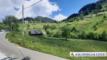 teren-intravilan-6500-mp-de-vanzare-in-dambovicioara-arges-ideal-pentru-dezvoltari-rezidentiale-si-turistice