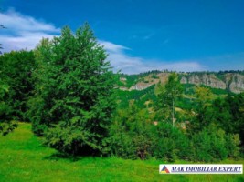 teren-intravilan-3470-mp-de-vanzare-in-dambovicioara-arges-ideal-pentru-proiecte-turistice-si-rezidentiale-2