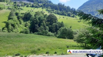 teren-intravilan-6500-mp-de-vanzare-in-dambovicioara-arges-ideal-pentru-dezvoltari-rezidentiale-si-turistice-2