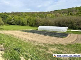 ferma-de-procesare-lapte-si-fructe-teren-25-ha-valea-mare-pravat-5