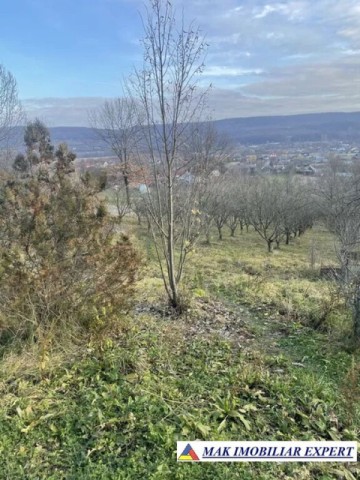 teren-intravilan-2800-mp-de-vanzare-stalpeni-arges-ideal-pentru-constructii-rezidentiale-sau-de-vacanta