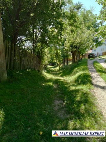 teren-800-mp-intravilan-matau-2