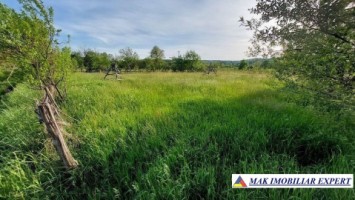 teren-intravilan-2000-mp-de-vanzare-in-aninoasa-ideal-pentru-constructii-rezidentiale-1