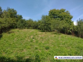 teren-intravilan-1177-mp-de-vanzare-stalpeni-arges-ideal-pentru-constructii-rezidentiale-sau-casa-de-vacanta