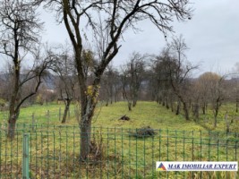 teren-intravilan-1500-mp-de-vanzare-in-corbi-arges-ideal-pentru-constructii-rezidentiale