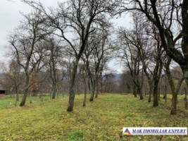 teren-intravilan-1500-mp-de-vanzare-in-corbi-arges-ideal-pentru-constructii-rezidentiale-1