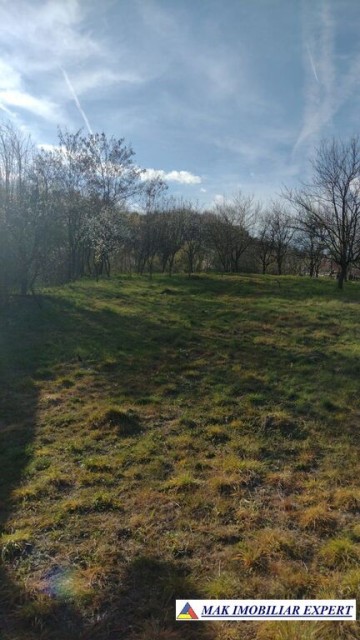 teren-intravilan-1177-mp-de-vanzare-stalpeni-arges-ideal-pentru-constructii-rezidentiale-sau-casa-de-vacanta-1