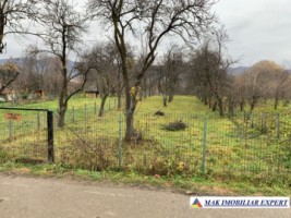 teren-intravilan-1500-mp-de-vanzare-in-corbi-arges-ideal-pentru-constructii-rezidentiale-3