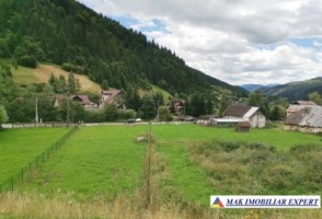 teren-intravilan-5100-mp-de-vanzare-rucar-satic-arges