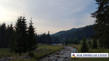 teren-intravilan-500-mp-de-vanzare-in-bradulet-poienile-valsanului-arges-ideal-pentru-constructii-rezidentiale
