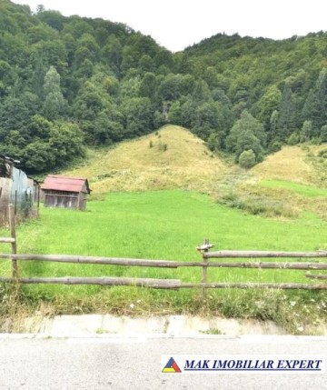 teren-intravilan-5100-mp-de-vanzare-rucar-satic-arges-1
