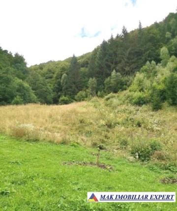 teren-intravilan-5100-mp-de-vanzare-rucar-satic-arges-2