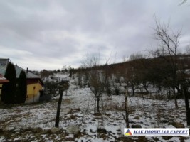 teren-intravilan-de-2250-mp-ideal-pentru-constructii-rezidentiale-cu-utilitati-disponibile-situat-in-valea-mare-pravat-arges