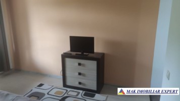 vila-cu-6-camere-si-teren-de-900-mp-voinesti-leresti-arges-25