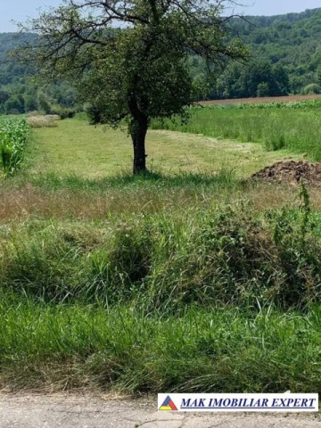 teren-intravilan-4000-mp-de-vanzare-schitu-golesti-arges-pentru-proiecte-rezidentiale-sau-turistice-1