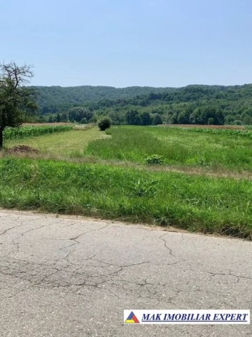 teren-intravilan-4000-mp-de-vanzare-schitu-golesti-arges-pentru-proiecte-rezidentiale-sau-turistice-2