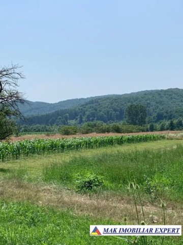 teren-intravilan-4000-mp-de-vanzare-schitu-golesti-arges-pentru-proiecte-rezidentiale-sau-turistice-3