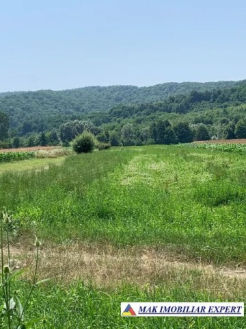 teren-intravilan-4000-mp-de-vanzare-schitu-golesti-arges-pentru-proiecte-rezidentiale-sau-turistice-4
