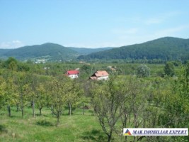teren-7827-mp-intravilan-si-extravilan-de-vanzare-in-balilesti-arges-oportunitate-pentru-dezvoltari-multiple