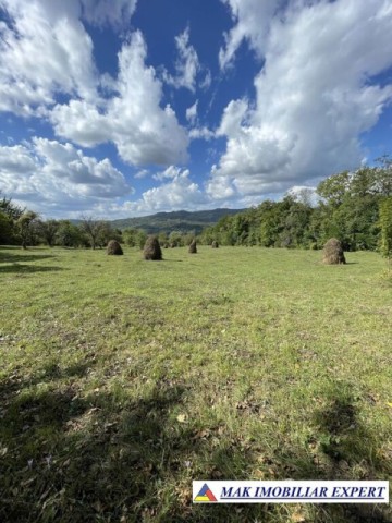 teren-de-35-ha-intraextravilan-de-vanzare-in-cetateni-arges