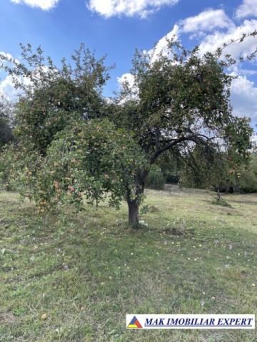 teren-de-35-ha-intraextravilan-de-vanzare-in-cetateni-arges-7