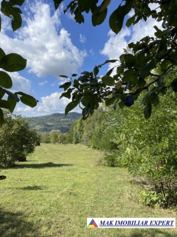 teren-de-35-ha-intraextravilan-de-vanzare-in-cetateni-arges-8