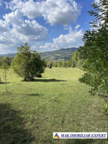 teren-de-35-ha-intraextravilan-de-vanzare-in-cetateni-arges-4