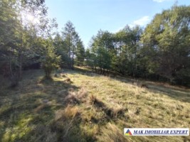 teren-de-vanzare-2535-mp-extravilan-in-marcus-campulung-muscel-arges-ideal-pentru-agricultura