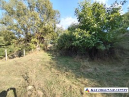 teren-de-vanzare-2535-mp-extravilan-in-marcus-campulung-muscel-arges-ideal-pentru-agricultura-1