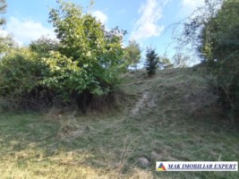 teren-de-vanzare-2535-mp-extravilan-in-marcus-campulung-muscel-arges-ideal-pentru-agricultura-2