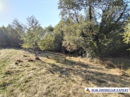 teren-de-vanzare-2535-mp-extravilan-in-marcus-campulung-muscel-arges-ideal-pentru-agricultura-3