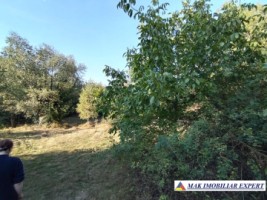 teren-de-vanzare-2535-mp-extravilan-in-marcus-campulung-muscel-arges-ideal-pentru-agricultura-4