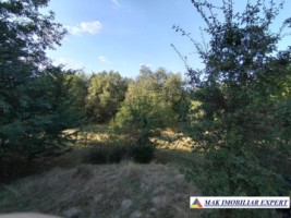 teren-de-vanzare-2535-mp-extravilan-in-marcus-campulung-muscel-arges-ideal-pentru-agricultura-5