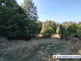 teren-de-vanzare-2535-mp-extravilan-in-marcus-campulung-muscel-arges-ideal-pentru-agricultura-6