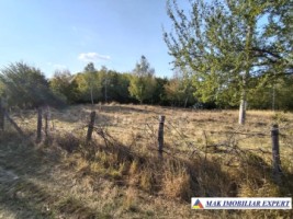teren-de-vanzare-2430-mp-extravilan-in-marcus-campulung-muscel-arges-ideal-pentru-agricultura-1