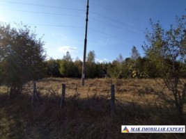 teren-de-vanzare-2430-mp-extravilan-in-marcus-campulung-muscel-arges-ideal-pentru-agricultura-2