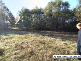 teren-de-vanzare-2535-mp-extravilan-in-marcus-campulung-muscel-arges-ideal-pentru-agricultura-7