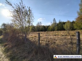 teren-de-vanzare-2430-mp-extravilan-in-marcus-campulung-muscel-arges-ideal-pentru-agricultura-4