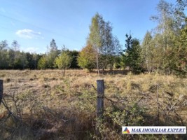 teren-de-vanzare-2430-mp-extravilan-in-marcus-campulung-muscel-arges-ideal-pentru-agricultura-5