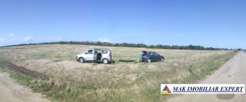 teren-agricol-768-ha-extravilan-de-vanzare-in-cateasca-arges-ideal-pentru-activitati-agricole-1