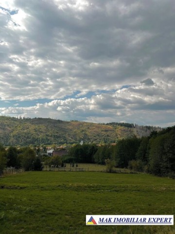 teren-intravilan-3500-mp-de-vanzare-in-leresti-arges-2