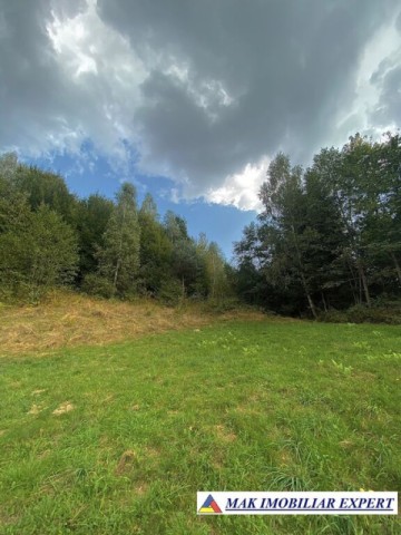 teren-intravilan-3500-mp-de-vanzare-in-leresti-arges