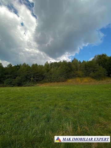 teren-intravilan-3500-mp-de-vanzare-in-leresti-arges-1