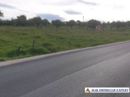 teren-extravilan-de-4000-mp-cu-livada-de-meri-si-acces-la-raul-argesel-valea-mare-pravat-arges-2